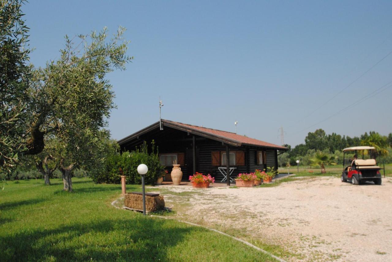 Villa Primavera Latina Dış mekan fotoğraf